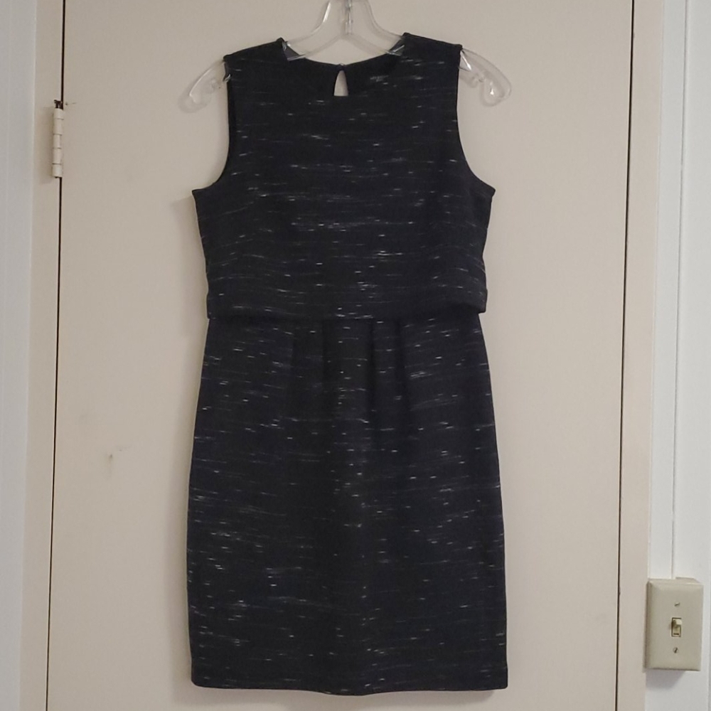 4P Ann Taylor Tank Dress